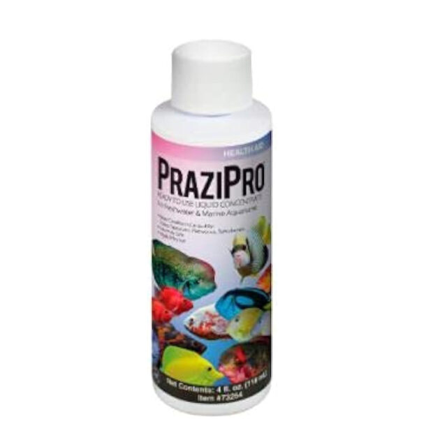 Prazipro Safest Parasite Treatment